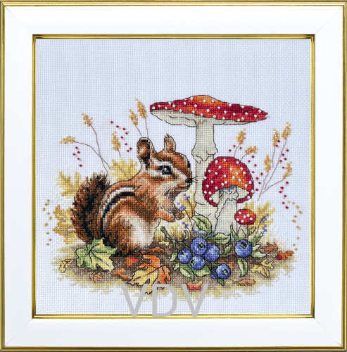 КВ М-0327 "Бурундучок"  (вишита картина муліне ДМС) 20х20 см
