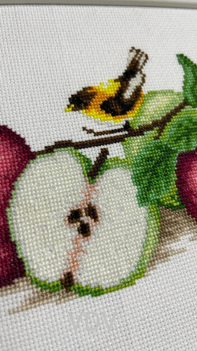 Електронна схема М-0866 "Яблучний бум" (PDF-схема для вишивання муліне ДМС) 43х17 см фото 2