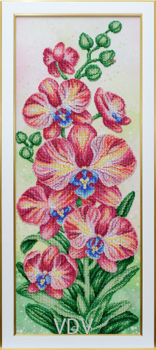 КВ Т-1294 "Рожеві орхідеї" (вишита картина бісером Preciosa (Чехія) 27х68 см