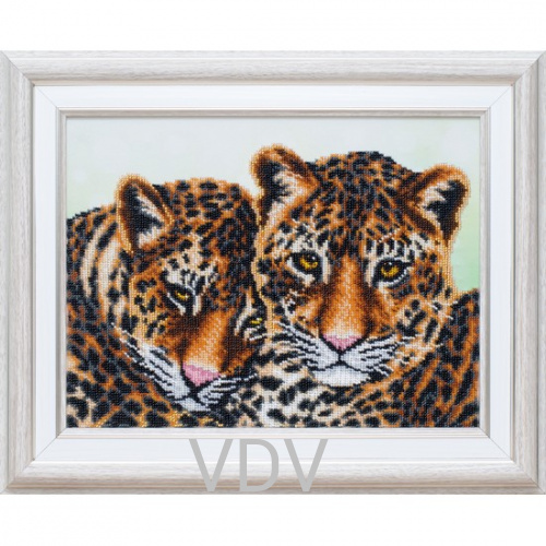 КВ Т-0999 "Леопарди"  (вишита картина бісером Preciosa (Чехія) 32х25 см