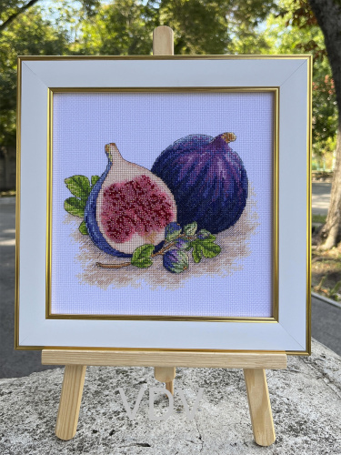 М-0310 "Інжир" (набір для вишивання муліне ДМС + бісер Preciosa) 20х20 см