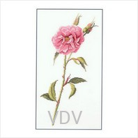 DMC XC0992 (набір для вишивання муліне) "Троянда"