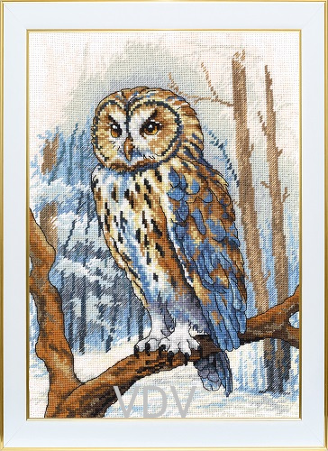 КВ М-0346 "Мудра сова"  (вишита картина муліне ДМС) 20х30 см