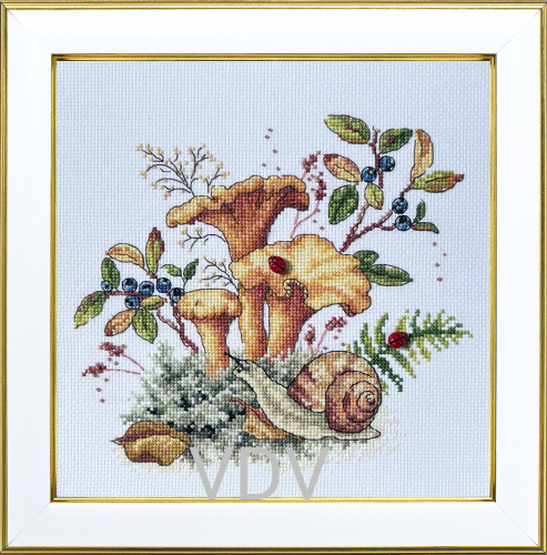 КВ М-0337 "Гриби лисички"  (вишита картина муліне ДМС) 20х20 см