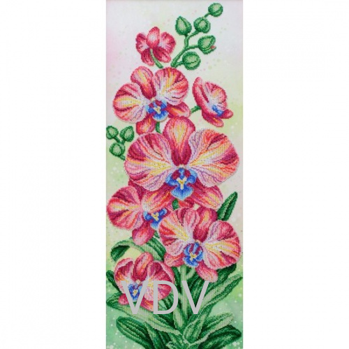 Т-1294 "Рожеві орхідеї" (схема для вишивання бісером) 27х68 см
