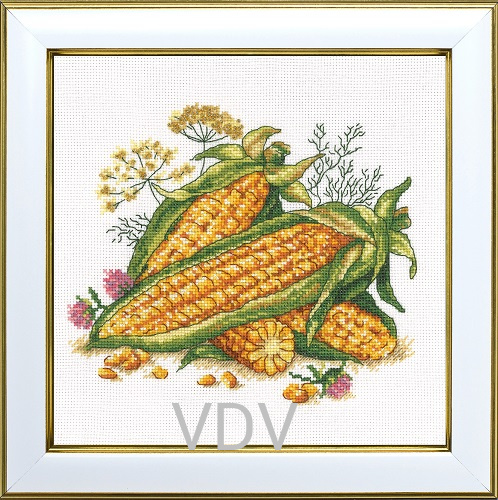 КВ М-0328 "Сонячна кукурудза"  (вишита картина муліне ДМС) 20х20 см
