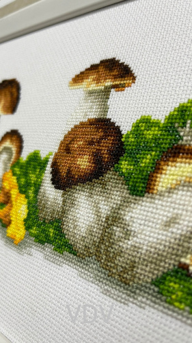 Електронна схема М-0870 "Грибний бум" (PDF-схема для вишивання муліне ДМС) 43х17 см фото 2