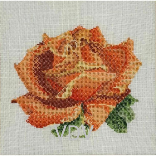 Тhеа Gouverneur 3075A (набір для вишивання муліне) "Червона троянда" 17x15 см