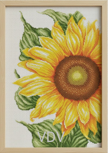 М-1107 "Квітка сонця" (набір для вишивання муліне акрил) 22x39 см